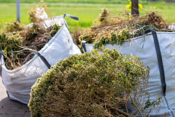 Professional Junk Removal in Robinhood, MS